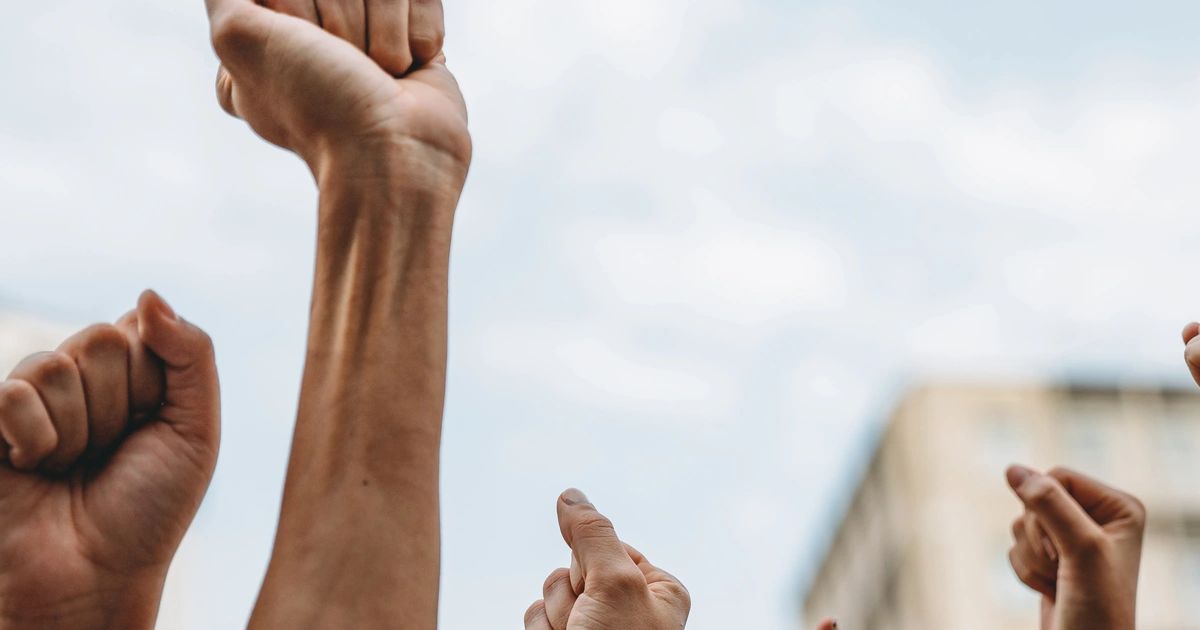 Why The Singularity Church of the Toad and Breathwork Is Fighting the DEA — And Why It Matters