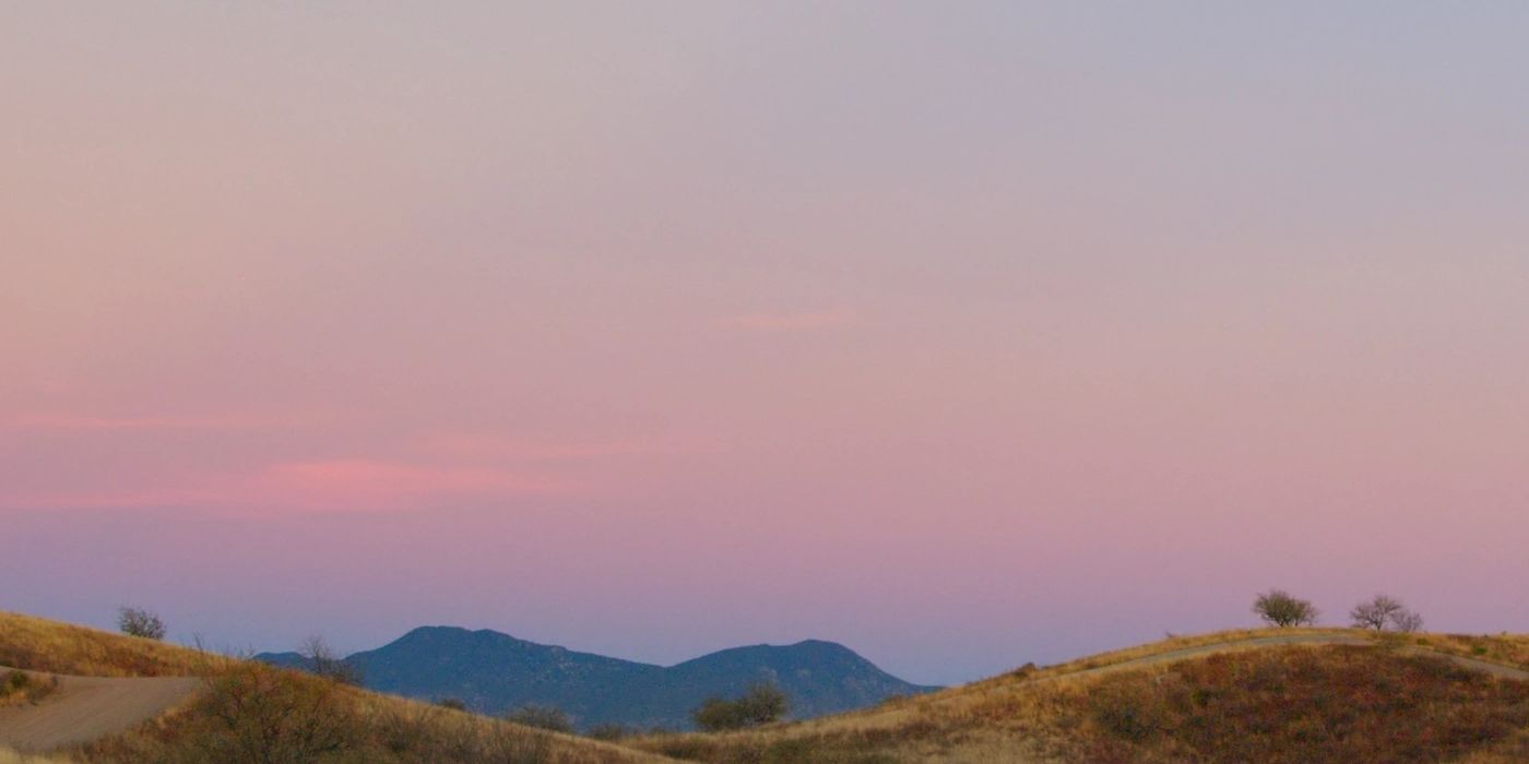Sonoran desert landscape at dusk